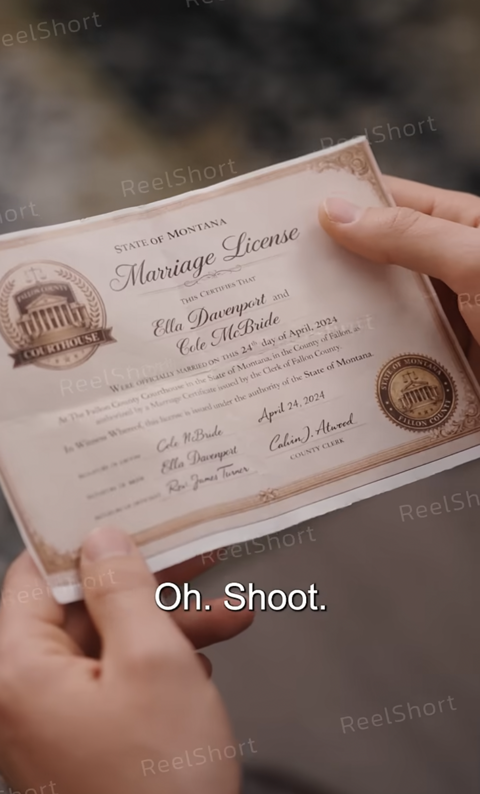 A. marriage license from a scene in "My Double Proxy Marriage to a Billionaire" | Source: youtube/reelshortapp